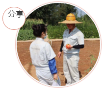 采摘幸福果實(shí)，分享收獲喜悅